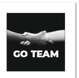GO-TEAM Logo